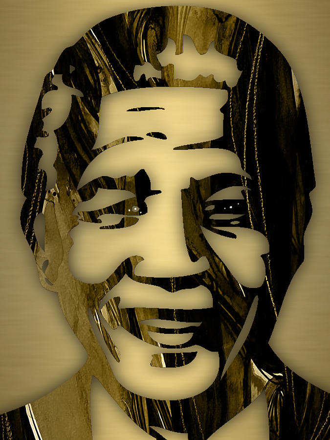 Nelson Mandela Collection #4 Mixed Media by Marvin Blaine