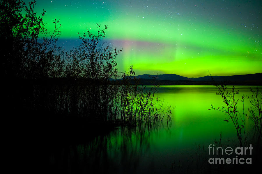 Fall Photograph - Northern lights mirrored on lake #4 by Stephan Pietzko