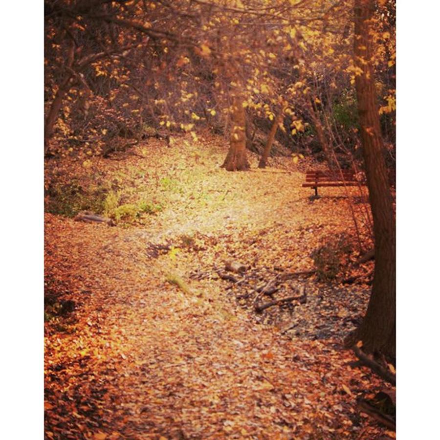 Fall Photograph - #ogdenadventures #ogdenadventure #4 by Melissa Helmbrecht