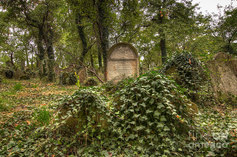 Old Jewish Cemetery #4 Photograph by Michal Boubin