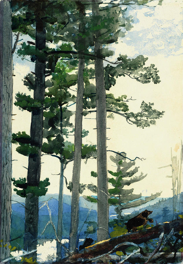 Winslow Homer Painting - Old Settlers #4 by Winslow Homer