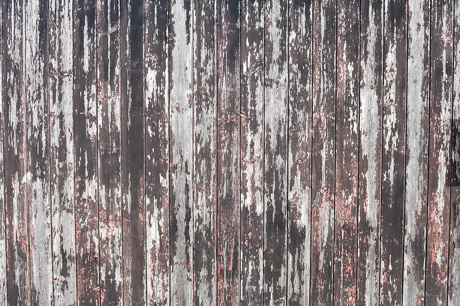 Abstract Photograph - Old wood #4 by Tom Gowanlock