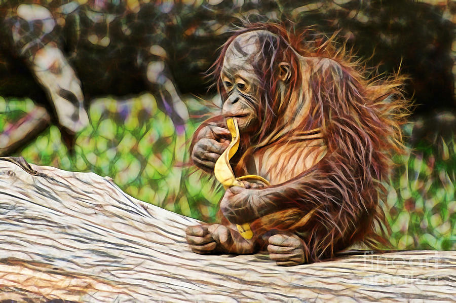 Orangutan Mixed Media - Orangutan Collection #4 by Marvin Blaine