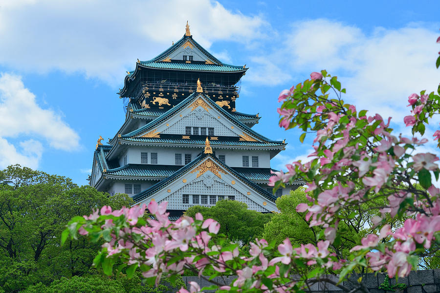 Osaka Castle #4 Photograph by Songquan Deng