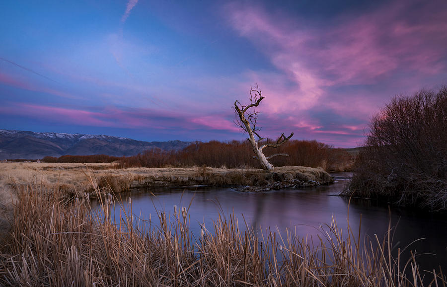 Nature Photograph - Owens River Sunset #4 by Cat Connor