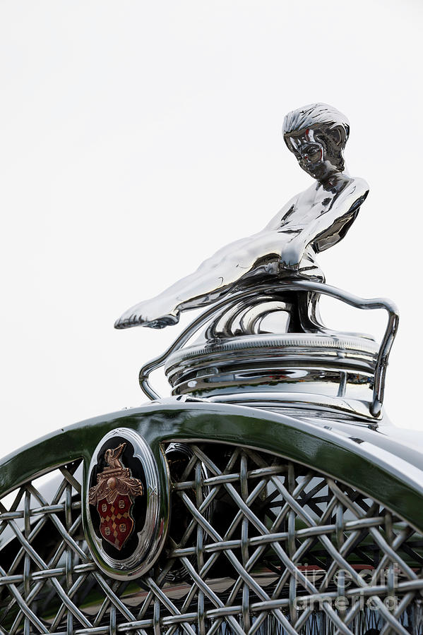 Packard Hood Ornament #4 Photograph by Dennis Hedberg