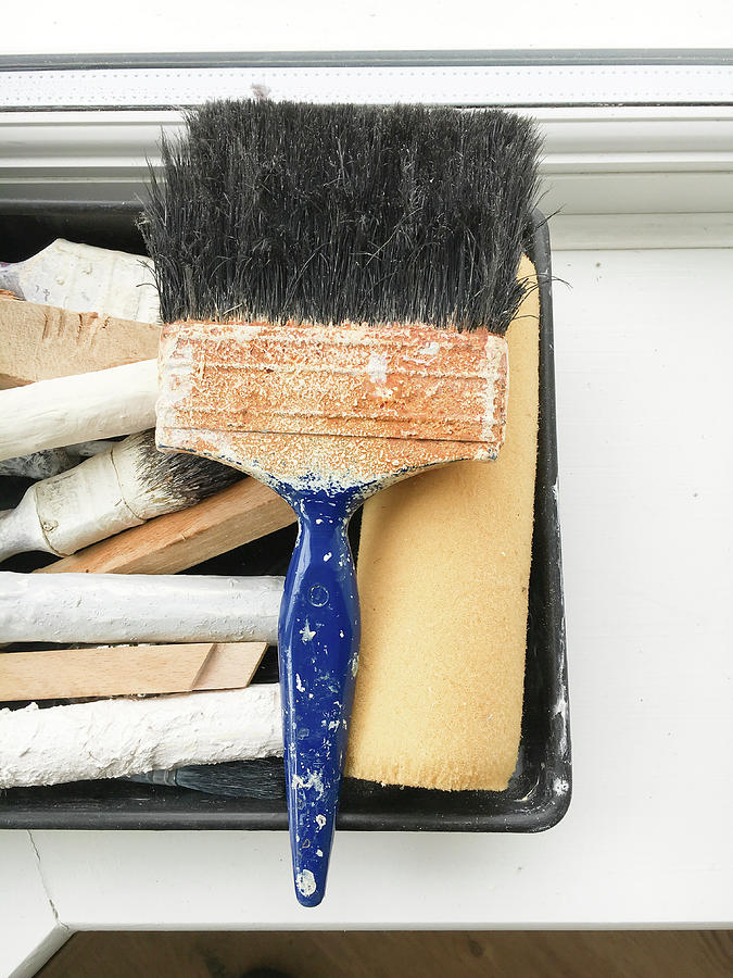 Brush Photograph - Paint brushes #4 by Tom Gowanlock