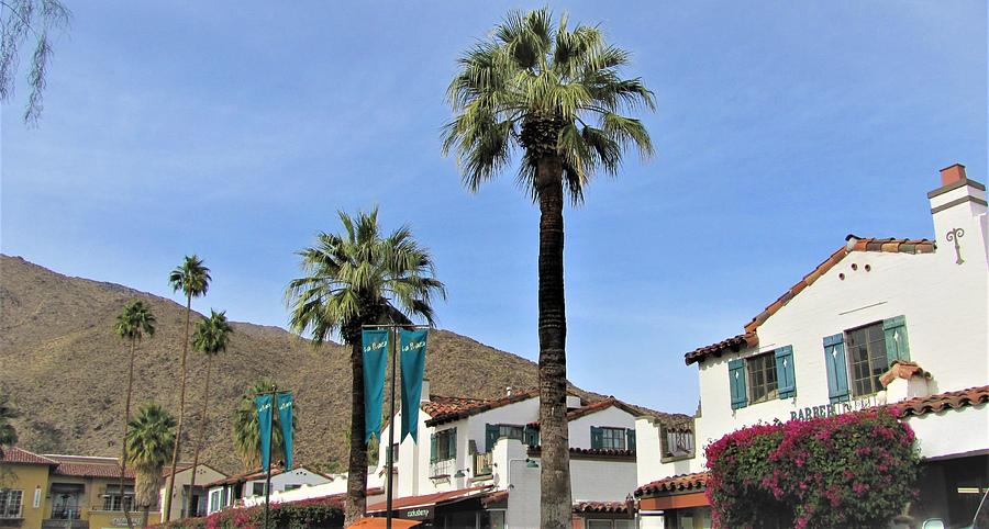 Palm Springs #4 Photograph by Lisa Dunn