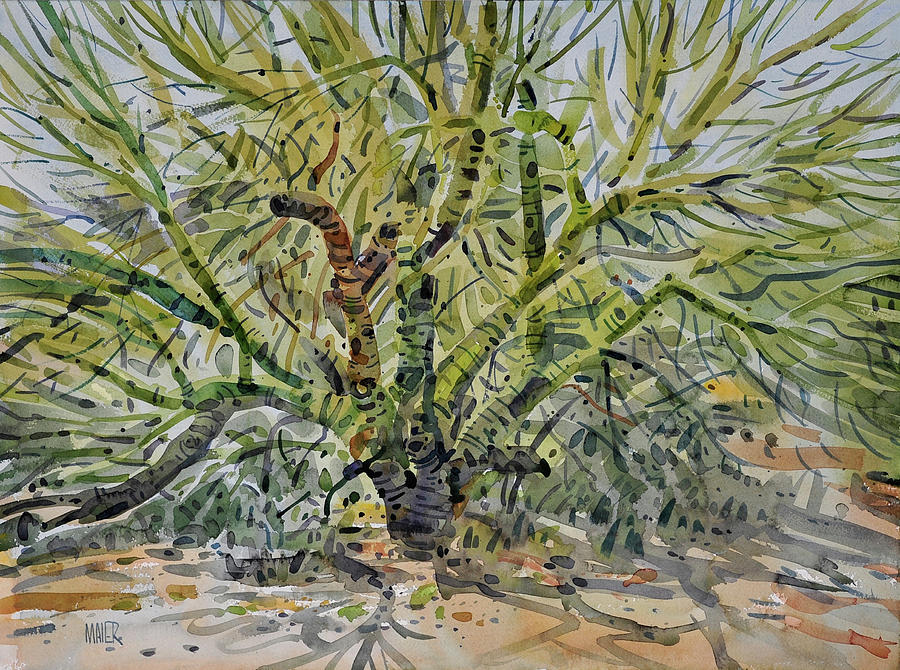 Desert Painting - Palo Verde #4 by Donald Maier
