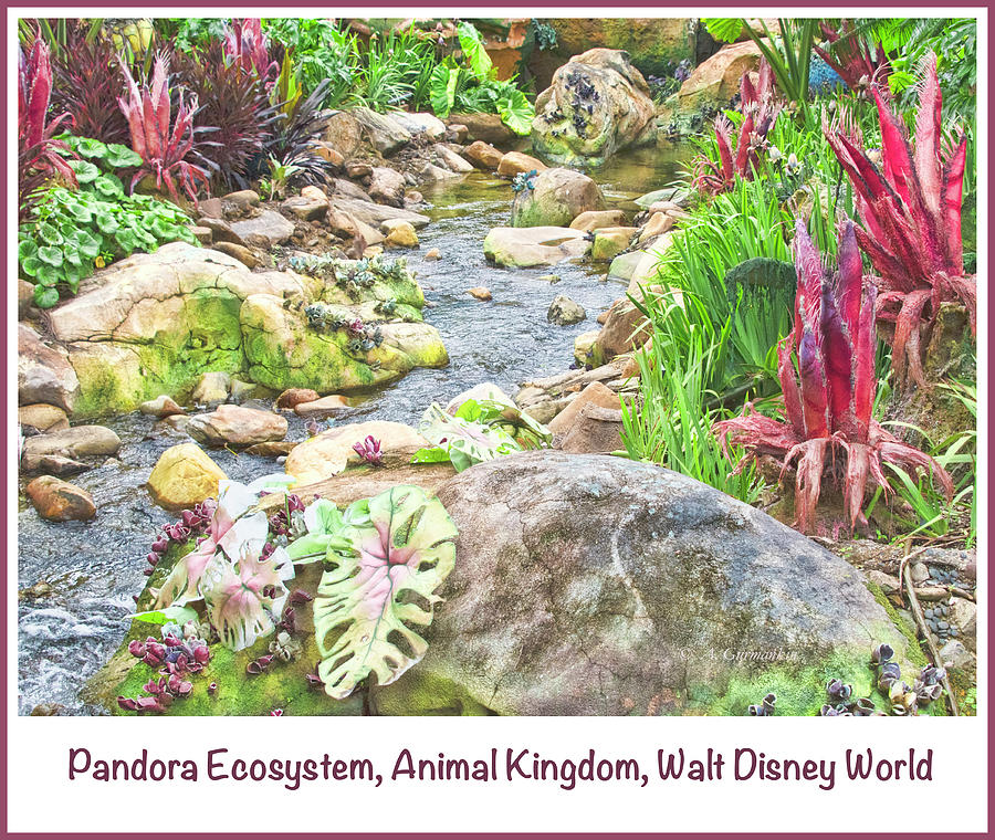 Pandora Ecosystem, Animal Kingdom, Walt Disney World #3 Photograph by A Macarthur Gurmankin