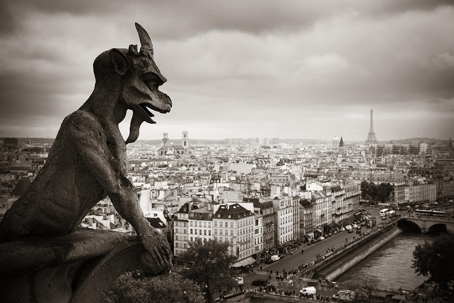 Paris rooftop view #4 Photograph by Songquan Deng