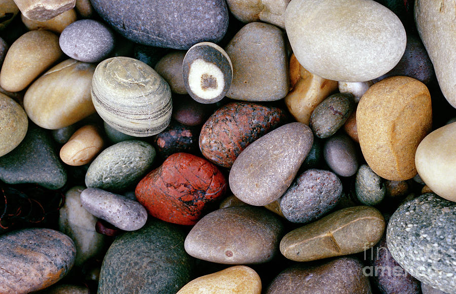 Pebbles Photograph by American School - Fine Art America