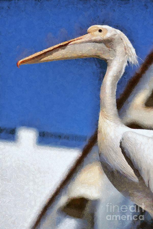Greek Painting - Pelican #4 by George Atsametakis