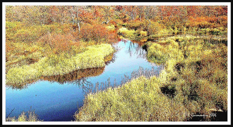 Pennsylvania Wetland in Autumn Digital Art #4 Digital Art by A Macarthur Gurmankin