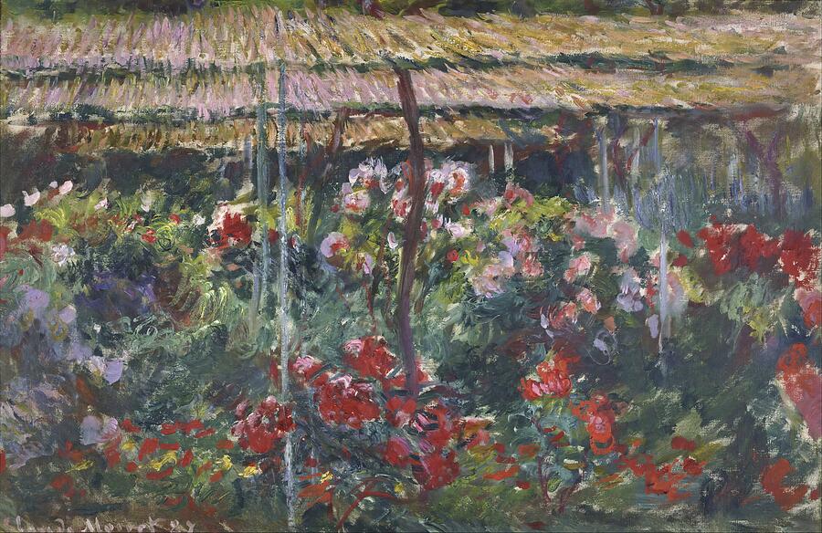 Peony Garden, from 1887 Painting by Claude Monet