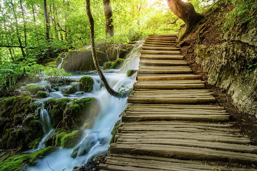 Boardwalk by a stream Photograph by Alexey Stiop - Fine Art America