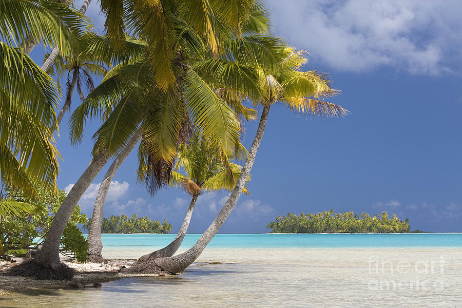Polynesian Beach With Palms #4 Photograph by Jean-Louis Klein & Marie-Luce Hubert