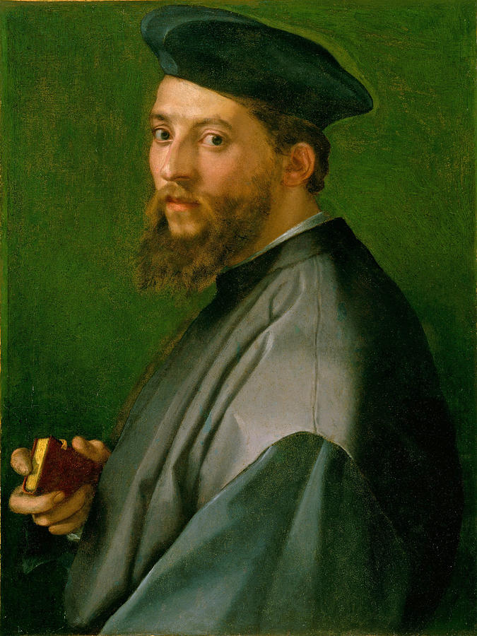 Portrait of a Man  #5 Painting by Andrea del Sarto