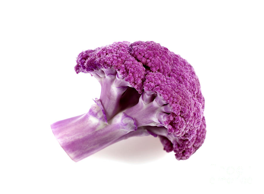 Purple Cauliflower #4 Photograph by Gerard Lacz