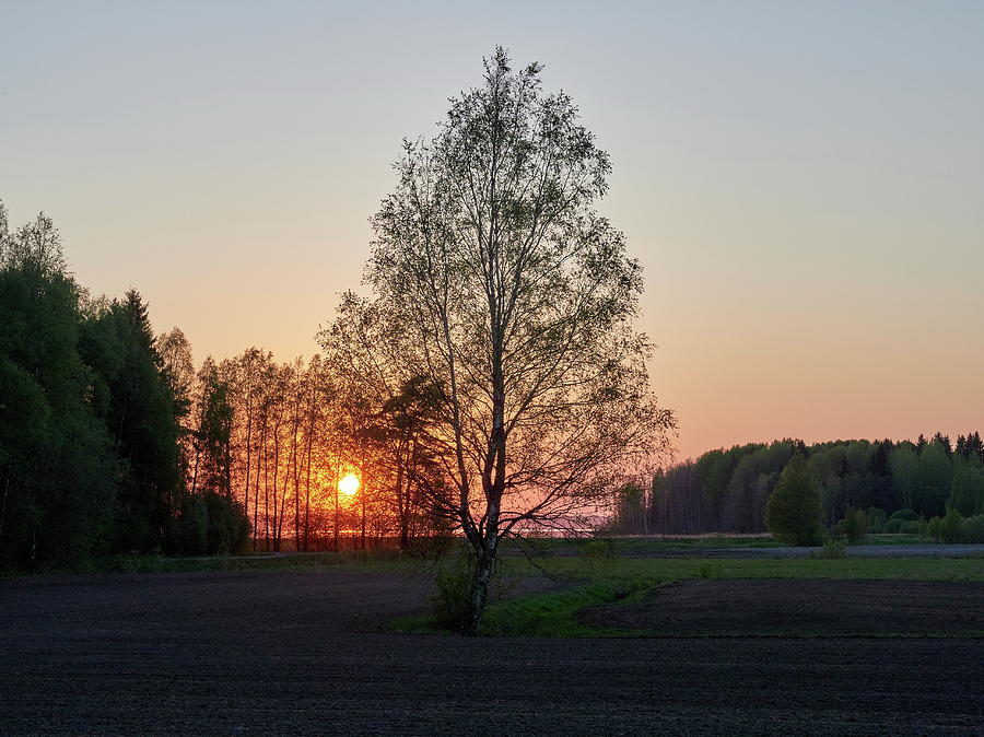 Puurijarvi sunset #4 Photograph by Jouko Lehto