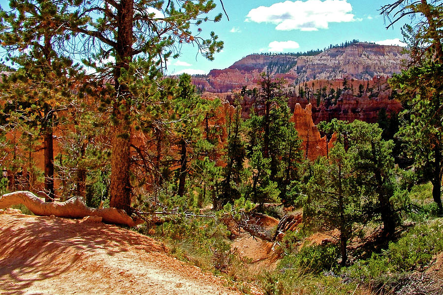 Queens Garden Trail in Bryce National Park, Utah #4 Photograph by Ruth Hager
