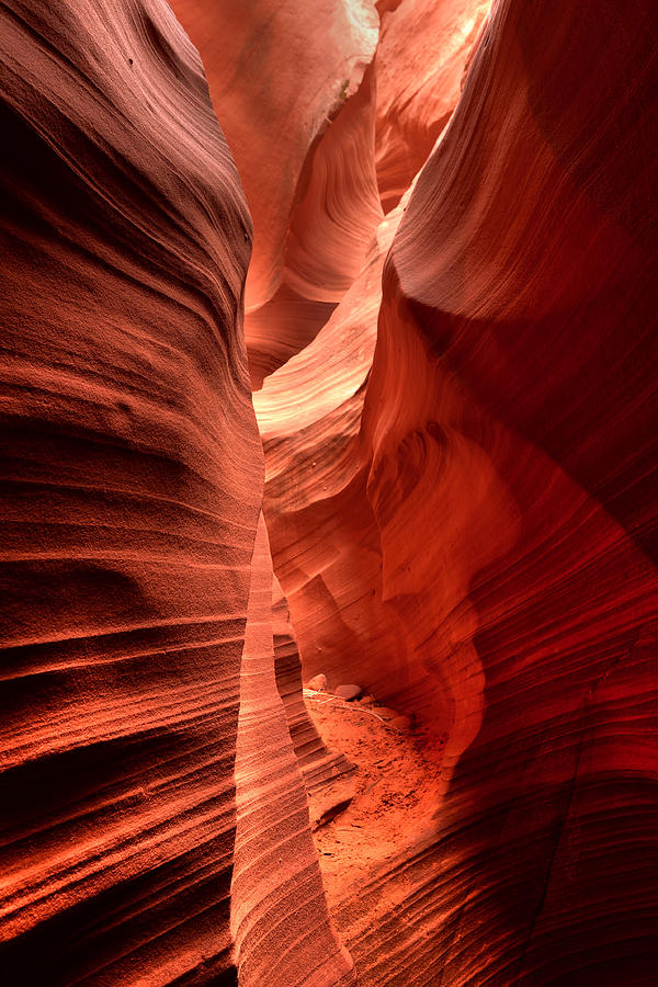 Rattlesnake Canyon Arizona Photograph by Paul Moore - Fine Art America
