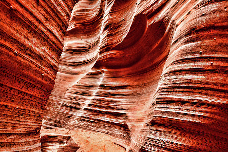 Rattlesnake Canyon Navajo Nation Arizona Photograph by Paul Moore ...