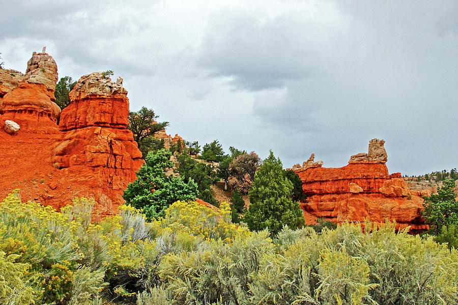  Red Canyon Biking and Hiking Trail in Dixie National Forest, Utah  #3 Photograph by Ruth Hager