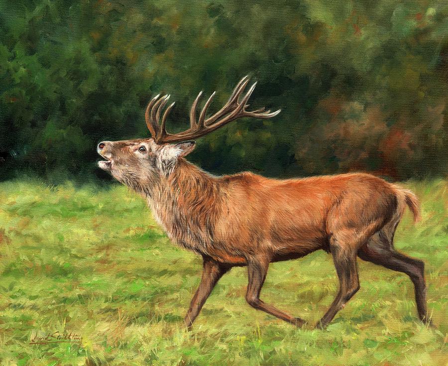 Deer Painting - Red Deer Stag #4 by David Stribbling