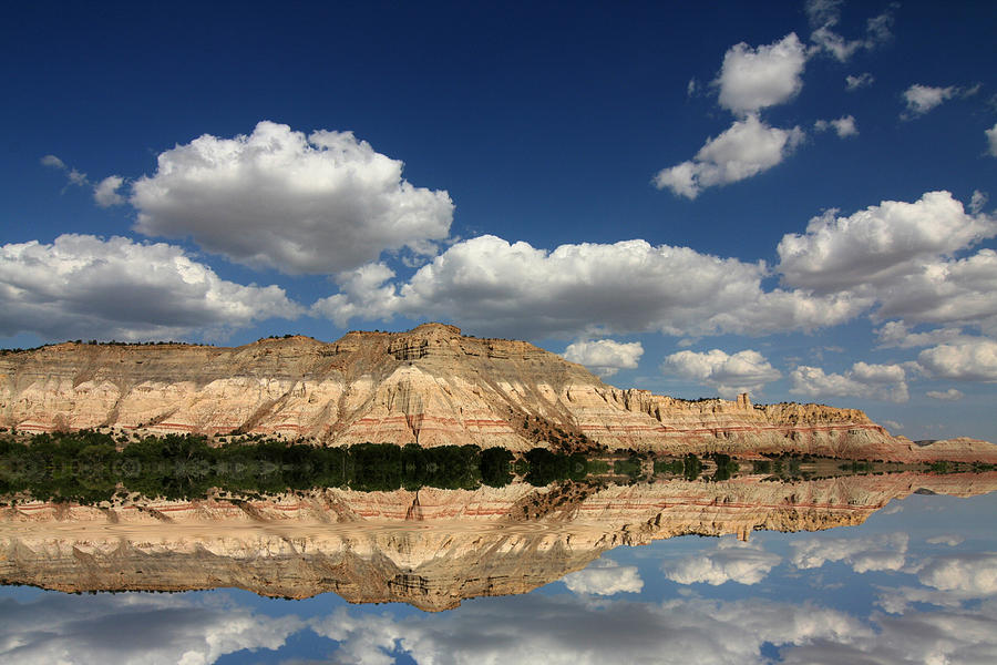 Red Rock Reflections Photograph by Mark Smith