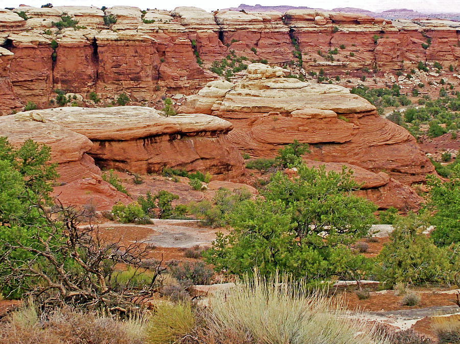 Return Trail to Elephant Hill  in Needles District in  Canyonlands National Park, Utah  #4 Photograph by Ruth Hager