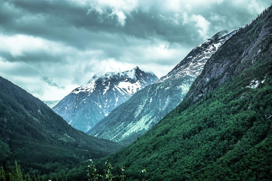 Rocky Mountains Nature Scenes On Alaska British Columbia Border #4 Photograph by Alex Grichenko
