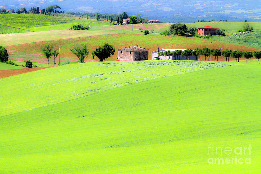 Nature Photograph - Rolling green hills with trees #4 by Vladi Alon