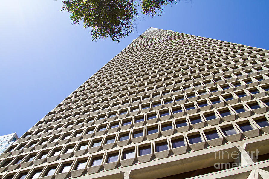 San Francisco Transamerica Pyramid Building #4 Photograph by ELITE IMAGE photography By Chad McDermott