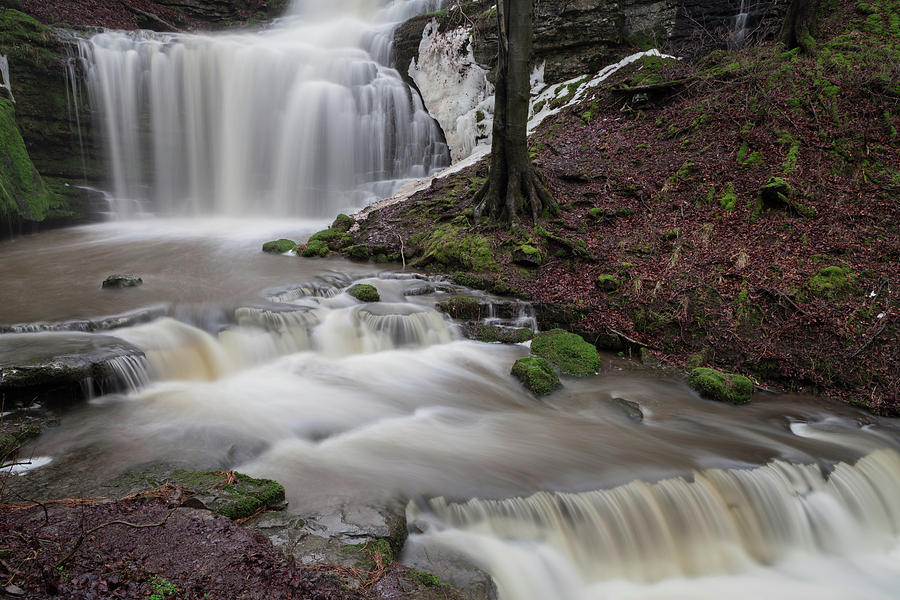 Scalber Force #4 Photograph by Nick Atkin