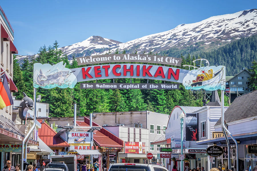 Scenery Around Alaskan Town Of Ketchikan #4 Photograph by Alex Grichenko