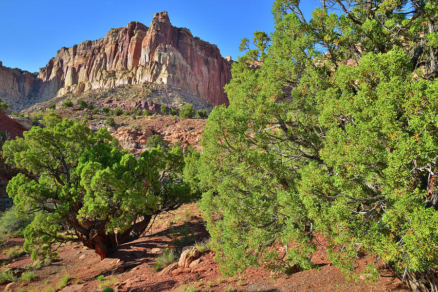 Capitol Reef National Park Photograph - Scenic Drive in Capitol Reef #5 by Ray Mathis