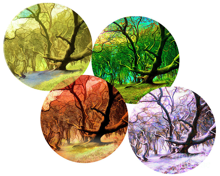 4 Seasons Digital Art by Edmund Nagele FRPS