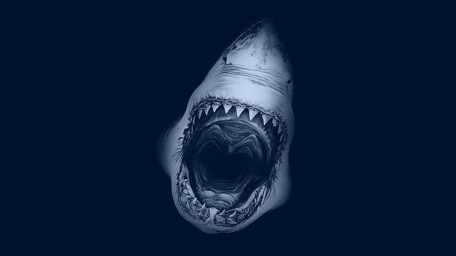 Sharks Digital Art - Shark #4 by Super Lovely