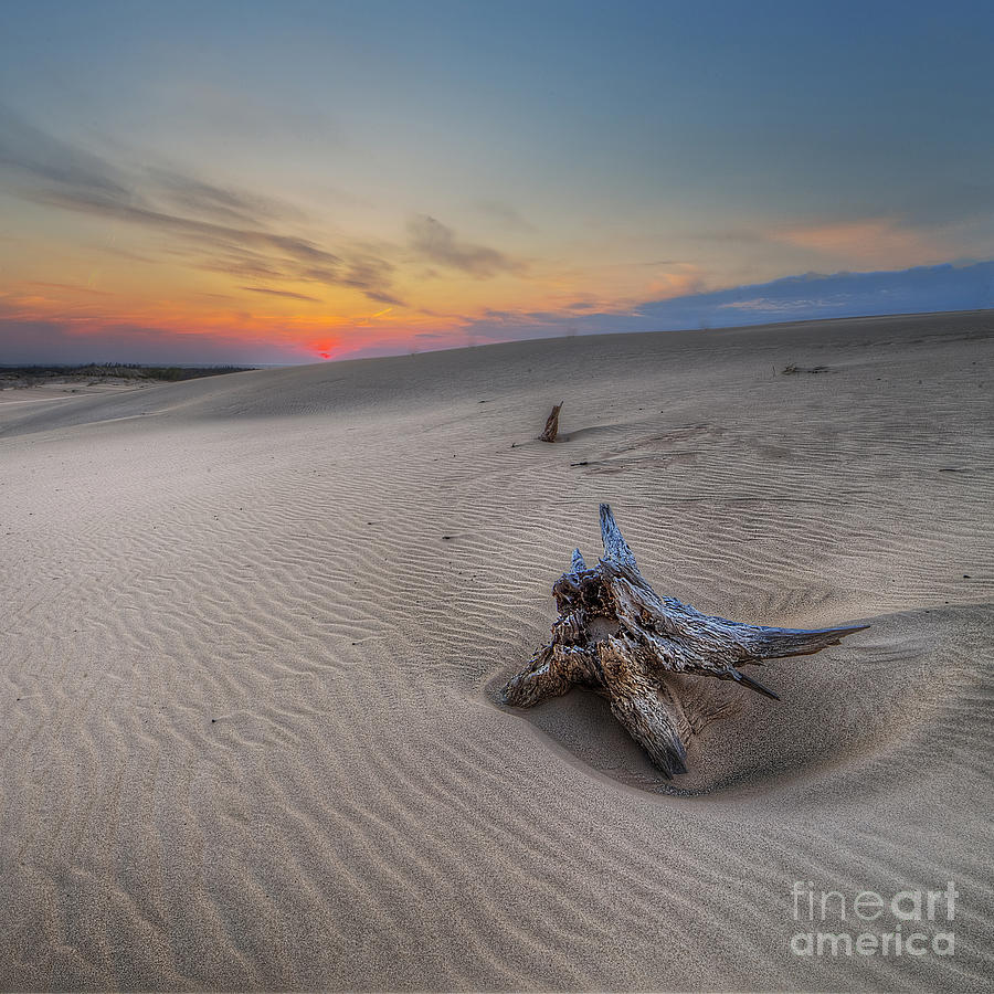 Silver Lake Sand Dunes Photograph by Twenty Two North Photography Pixels