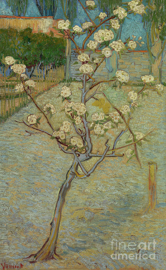 Small pear tree in blossom Painting by Vincent Van Gogh