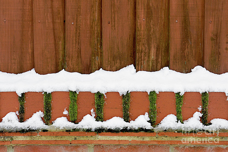 Snow on a fence #4 Photograph by Tom Gowanlock