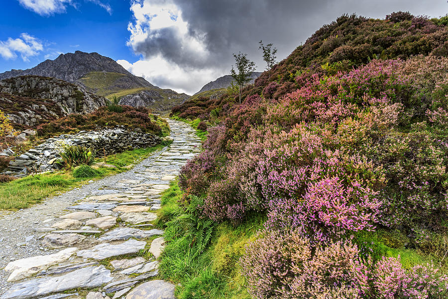 Snowdonia national park - #4 Photograph by Chris Smith