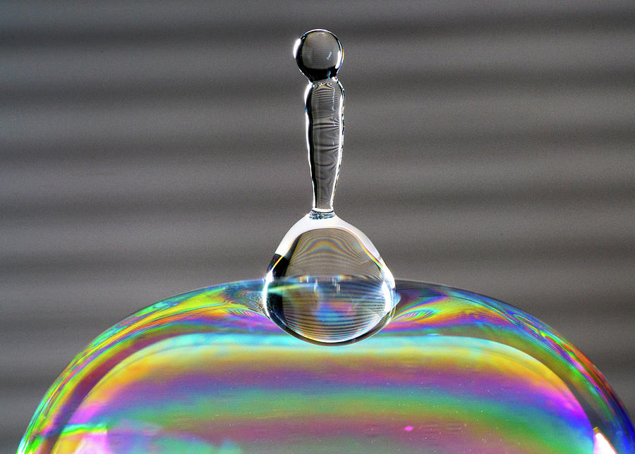 Soap Bubble Drop Photograph by Max Neivandt - Pixels