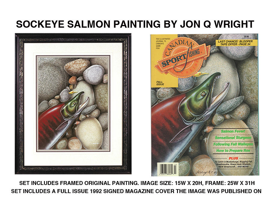 Sockeye Salmon #4 Painting by JQ Licensing