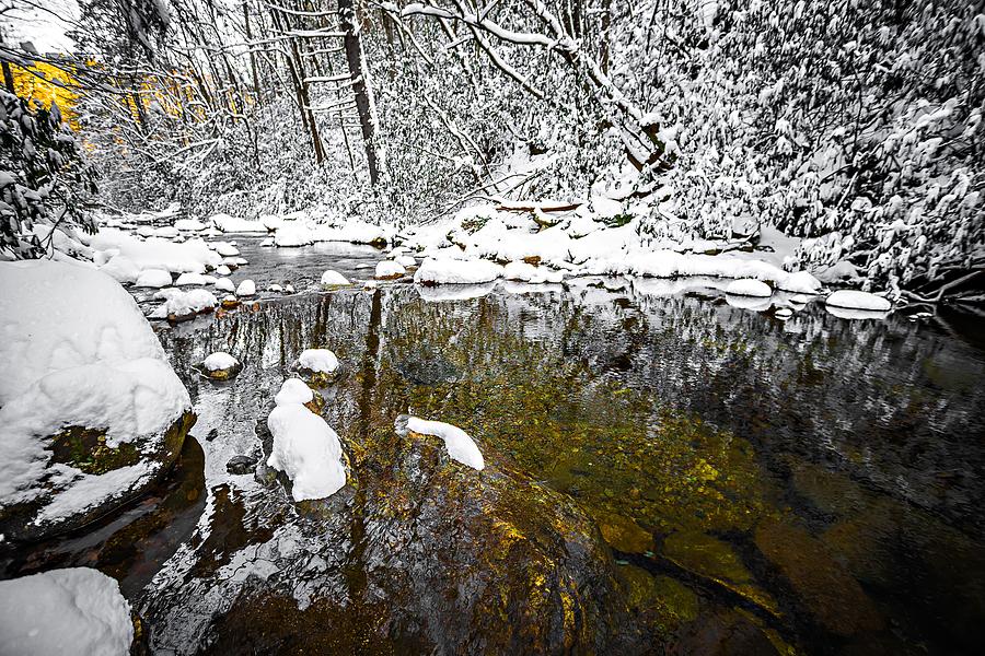 South Mountain Stream In Winter Woods #4 Photograph by Alex Grichenko