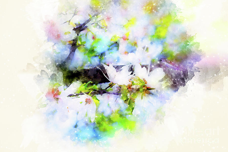 Spring flowers, Spring blossom background and softly blurred watercolor