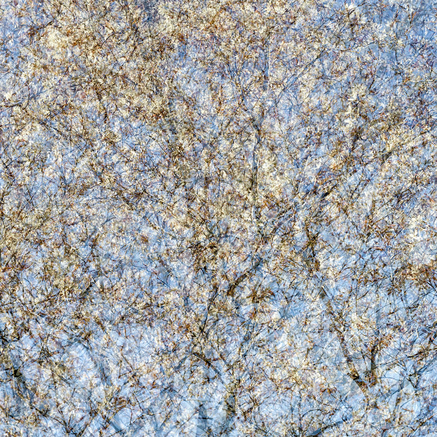Spring Season - Inspired by Jackson Pollock #3 Photograph by Shankar Adiseshan
