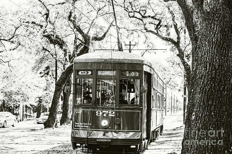 St. Charles Streetcar - sepia toned Photograph by Scott Pellegrin