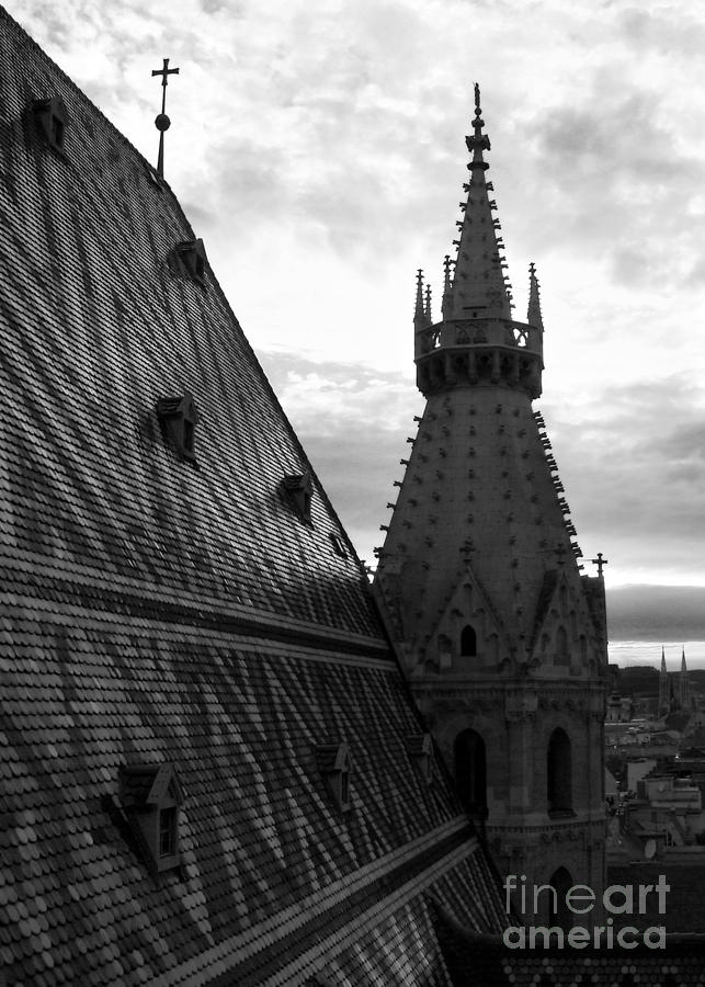 St Stephens Cathedral Vienna in Black and White #6 Photograph by Angela Rath